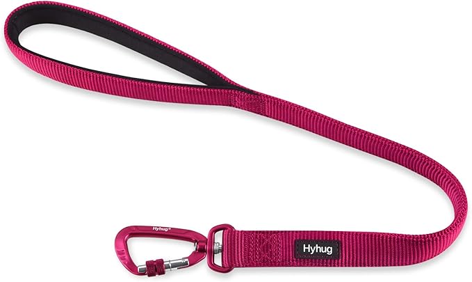 Hyhug Pets 24” Nylon Sturdy Short Leash with Neoprene Soft Handle and Lightweight Aviation Aluminium Clip Lead- for Large Medium Dogs Daily Walking and Training. (24 Inches, Rose Red)