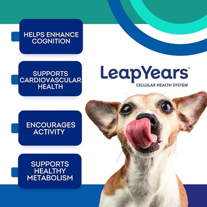 Leap Years Soft Chew Dog Health Supplement – Dog Cognitive Supplement, Supports Longevity of Your Pet, Brain, Heart & Muscle; Powerful NAD for Dogs + Senolytic Formula, Vet-Formulated, Large Breed
