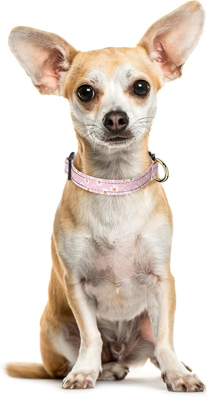 Reflective Dog Collar for Extra Small Dogs, Cute Daisy Theme Adjustable Heavy-Duty Nylon Puppy Collar for Boy and Girl Female, Soft Pet Accessories with Quick Release Buckle, Neck 8-12", Pink