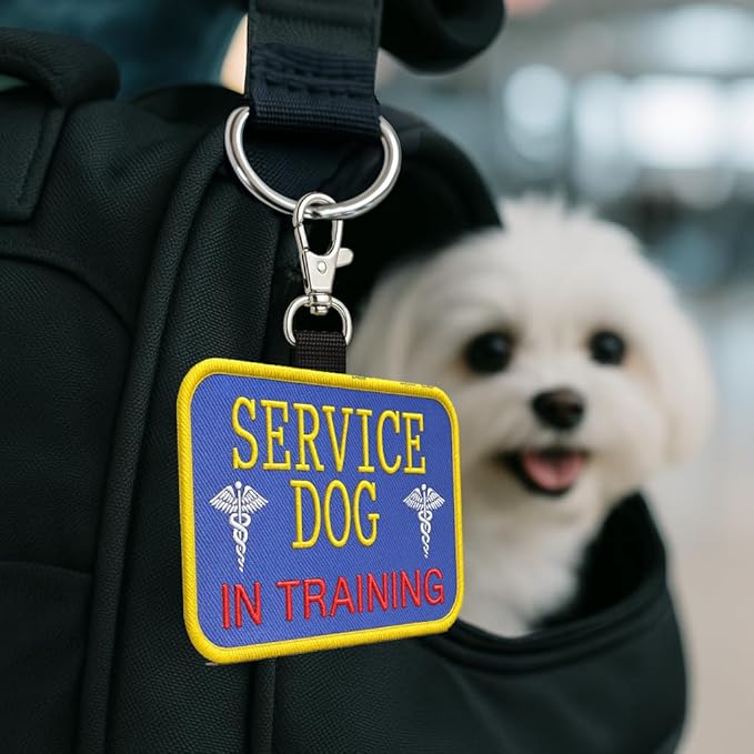 WORKINGSERVICEDOG.COM Service Dog in Training Clip-On ID Patch Tag - Includes 5 Federal Law Handout Cards - Clips to Vest, Harness, Collar, Leash, or Carrier