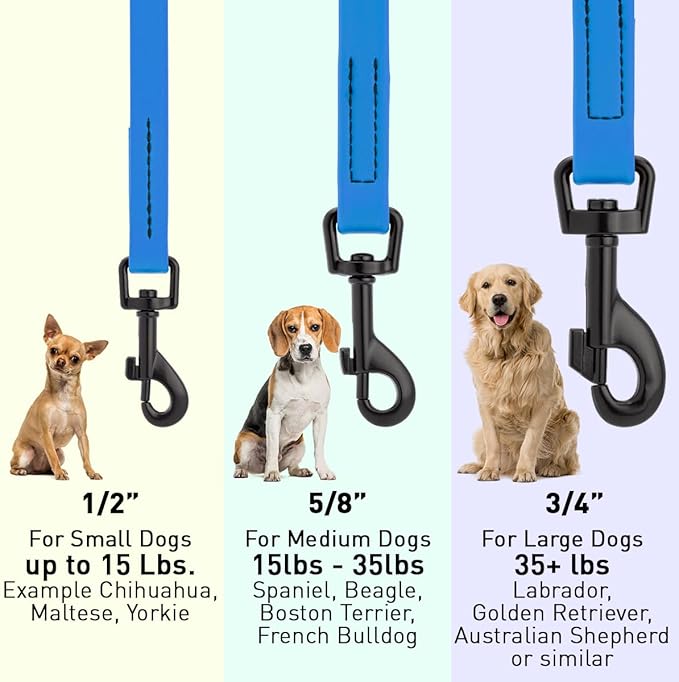 Dogline Biothane Waterproof Dog Leash Strong Coated Nylon Webbing with Black Hardware Odor-Proof Easy to Clean High Performance for Small or Large Dogs Made in USA 4 or 6 ft Lead, Cerulean Blue