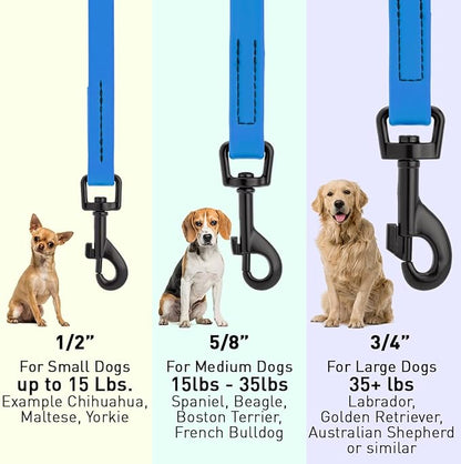 Dogline Biothane Waterproof Dog Leash Strong Coated Nylon Webbing with Black Hardware Odor-Proof Easy to Clean High Performance for Small or Large Dogs Made in USA 4 or 6 ft Lead, Cerulean Blue