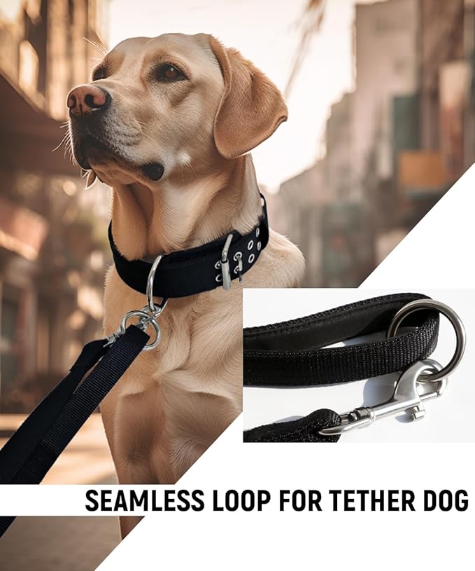 Large Dog Collar and Leash Set- Black Heavy Duty Collar and Leash for Gaint Breed Dogs, 2in Wide with Handle Collar and 5 ft Leash, Strong Nylon and Stainless Hardware, 17"-22"