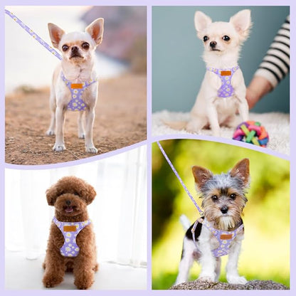 SlowTon Dog Harness Small Sized Dog - Soft XXS Dog Harness and Leash Set No Pull No Chock, Adjustable Lightweight Puppy Harness for XS Small Medium Dogs Cats (Purple Dasiy, XXS)
