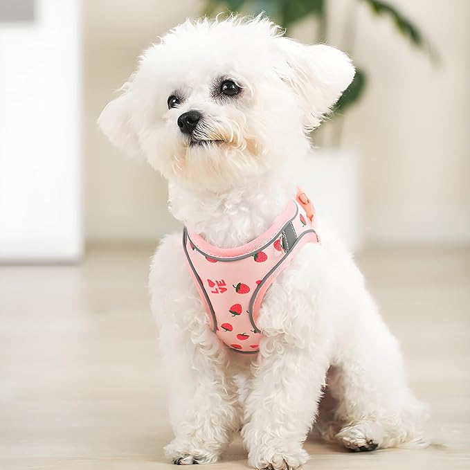 Step in Dog Harness and Leash Set, Flower Adjustable Easy Walk Puppy Harnesses, Soft Mesh No Pull Pet Vest Harness for Small Dogs and Cats(Strawberry, XS)