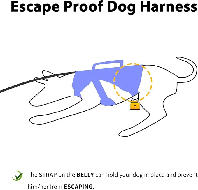 Huntboo Escape Proof Dog Harness, Escape Artist Harness, Reflective Dog Harness with Handle, Durable,Adjustable Vest for Small Medium Large Dogs Walking, Training, and Running Gear(Technicolor Blue,M)