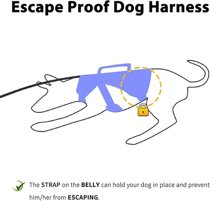 Huntboo Escape Proof Dog Harness, Escape Artist Harness, Reflective Dog Harness with Handle, Durable,Adjustable Vest for Small Medium Large Dogs Walking, Training, and Running Gear(Technicolor Blue,S)