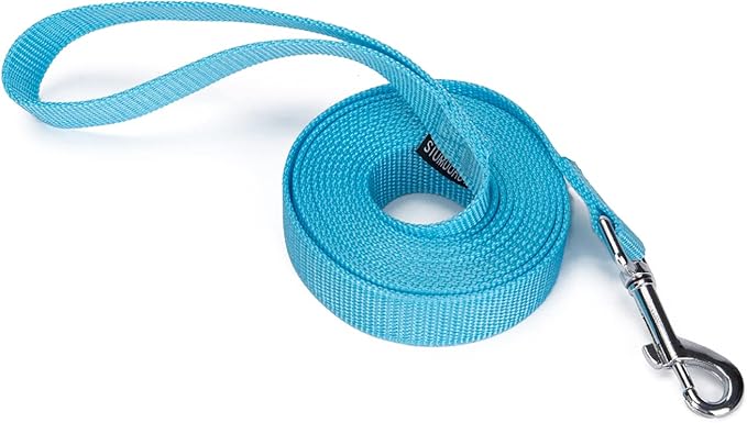 Siumouhoi Strong Durable Nylon Dog Training Leash, 1 Inch Wide Traction Rope, 10 ft Long, for Small and Medium Dog (Mint Blue, 10 Feet)