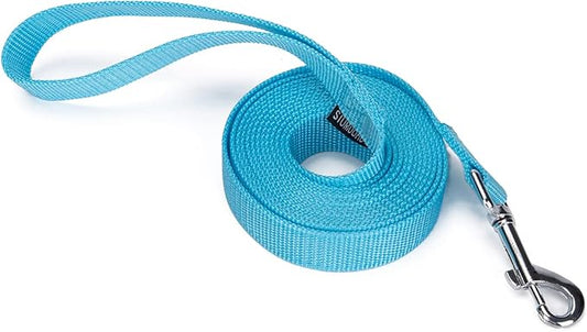 Siumouhoi Strong Durable Nylon Dog Training Leash, 1 Inch Wide Traction Rope, 10 ft Long, for Small and Medium Dog (Mint Blue, 10 Feet)