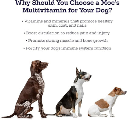 Moe’s 5-in-1 Essential Dog Multivitamin 90 Chicken Flavored Chews for Dog's Immune Support, Heart, Skin, Coat, & Overall Health- Vitamins A, B12, C, D, E, Antioxidants, Omega 3 for All Ages & Breeds
