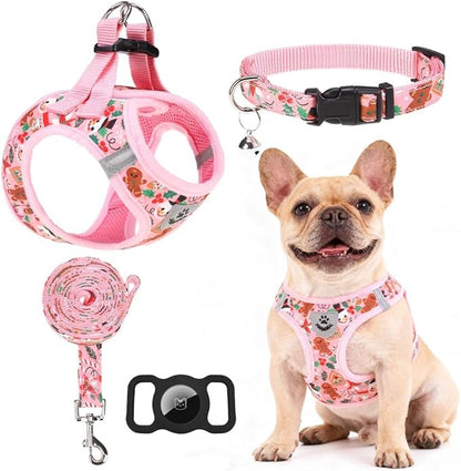 EXPAWLORER Christmas Puppy Harness - Dog Collar and Leash - Soft Mesh Padded Adjustable Step in Small Dog Vest Harness No Pull, Reflective Escape Proof for Outdoor Walking, Red S