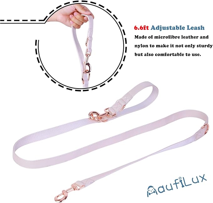Soft Leather Dog Collar and Leash (6.6') Set - Stylish Rose Gold Heavy Duty Metal Buckle, 4 Adjustable Lengths Leash for Small Medium Large Dogs - Comfortable & Easy to Clean XS(8"-12"), Gold Pink