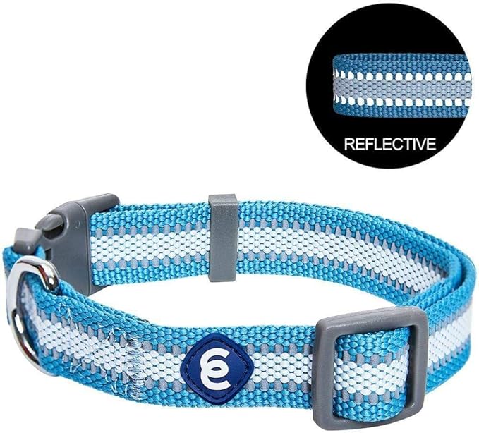 Blueberry Pet Essentials Matching Small Dog Collar | Adjustable Classic Solid Color Nylon Dog Collars for Small Dogs | Reflective Sky Blue Dog Collar for Small Dogs