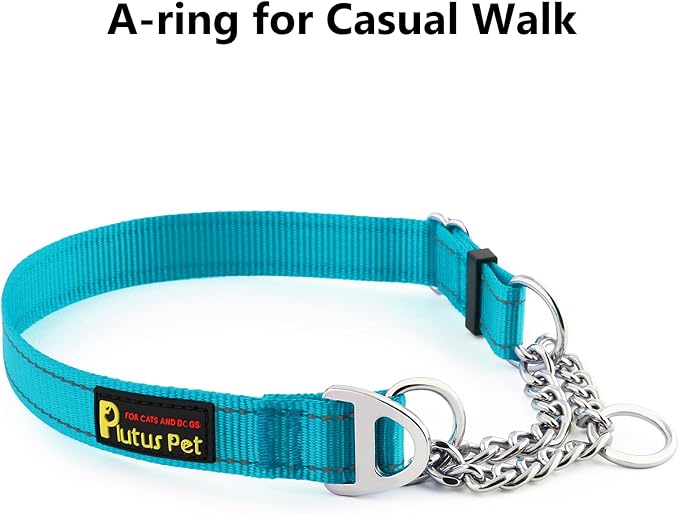 Plutus Pet Martingale Dog Collar with Stainless Steel Chain and Reflective Nylon, Adjustable No Pull Training Collar, for Small Medium, and Large Dogs, Cyan, L