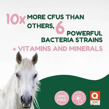 Horse Pre & Probiotic Paste (30 Pack, 80cc Each), Horse Paste Pre and Probiotics +Vitamins & Minerals- 4 Strains and 8 Billion CFU per Serving- Immune and Gastro Health Support for Equines
