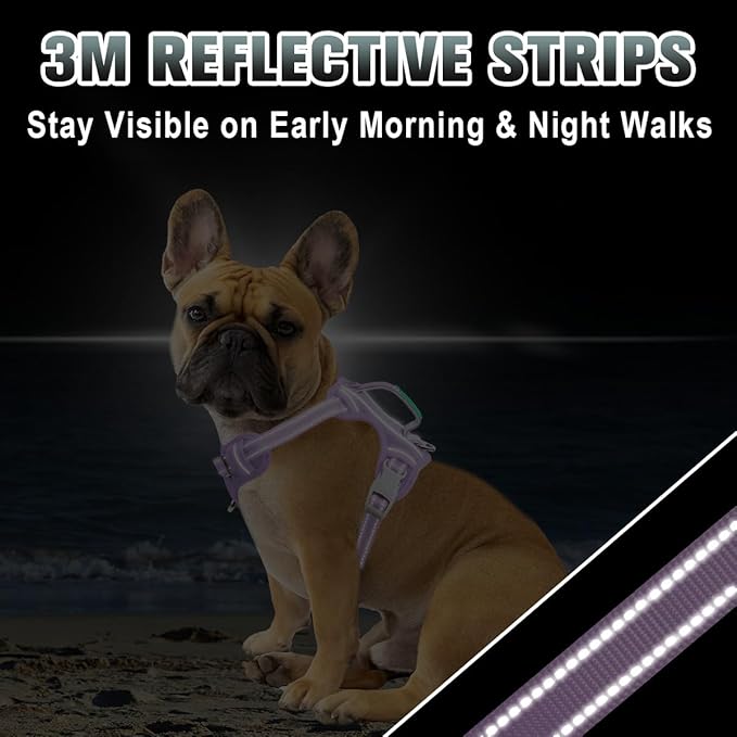BARKBAY No Pull Dog Harness Large Reflective Dog Harness with Front Clip and Easy Control Handle for Walking Training Running with ID tag Pocket(Violet Purple,XS)