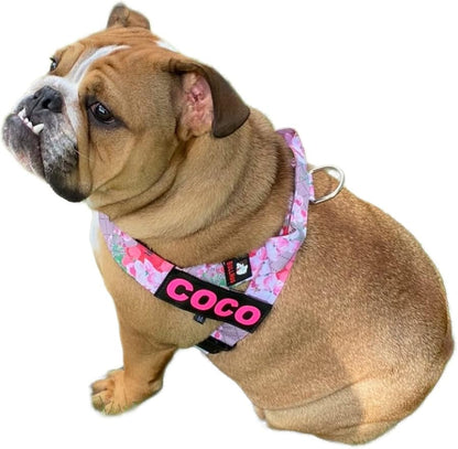 BULLHUG Adjustable Dog Harness– No Pull, No Choke – for English Bulldogs, French Bulldogs, Pugs & Broad-Chested Breeds – Easy, Safe Walks (Pink Floral, Small)
