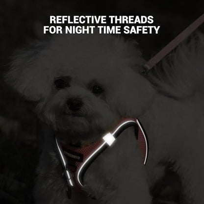 Dog Harness and Leash Set, Dog Harness for Dogs No Pull, No-Chock Step-in Reflective Breathable Lightweight Easy Walk Vest Harnesses with Safety Buckle for Small Medium Dogs, Cats (Pink, XS)