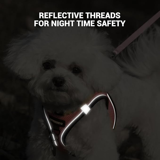 Dog Harness and Leash Set, Dog Harness for Dogs No Pull, No-Chock Step-in Reflective Breathable Lightweight Easy Walk Vest Harnesses with Safety Buckle for Small Medium Dogs, Cats (Pink, L)