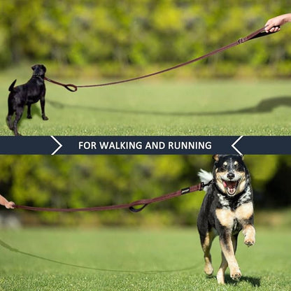 Plutus Pet Double Handle Dog Leash 5ft, Heavy Duty, Reflective Dual Handle Dog Leash for Safety Training, for Medium Large Dogs,2 Handle Leads, Chocolate