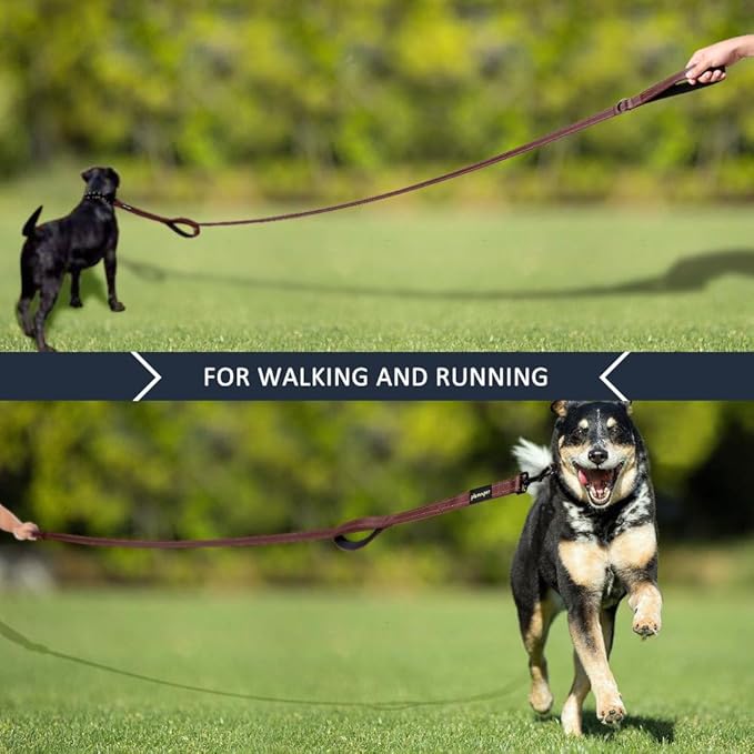 Plutus Pet Double Handle Dog Leash 4ft, Heavy Duty, Reflective Dual Handle Dog Leash for Safety Training, for Medium Large Dogs,2 Handle Leads, Chocolate