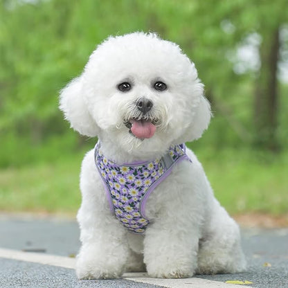 Step in Dog Harness and Leash Set, Flower Adjustable Easy Walk Puppy Harnesses, Soft Mesh No Pull Pet Vest Harness for Small Medium Dogs(Daisy, S)