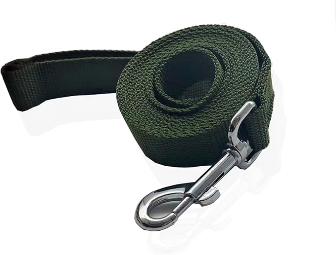 Nylon Dog Leash 12 Feet Long, Walking Training Dog Leashes for Medium Large Dogs(1" X 12 ft, Green)