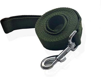 Nylon Dog Leash 12 Feet Long, Walking Training Dog Leashes for Medium Large Dogs(1" X 12 ft, Green)