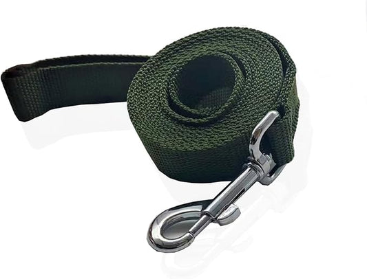Nylon Dog Leash 12 Feet Long, Walking Training Dog Leashes for Medium Large Dogs(1" X 12 ft, Green)