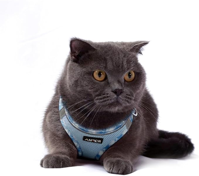 AMTOR Small Dog Harness with Leash Set, No Escape Easy Walk Puppy Harnesses for Training Walking, Step-in Reflective Soft Dogs Vest for XS S Medium Extra-Small Large Sized Dog(L Size,Blue/White)