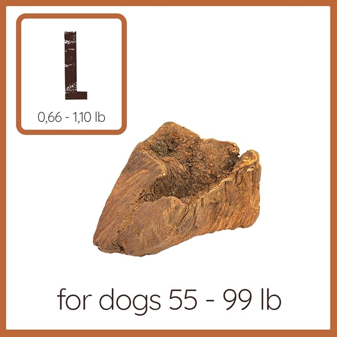 Wildfang® Briar Wood Chewing Root, Large - Splinter Free Wood Dog Chew Toys for Aggressive Chewer, Odorless Natural Teething Toys Dogs Dental Health, Healthy Gums (for Dogs 55-99 lbs), Pack of 1