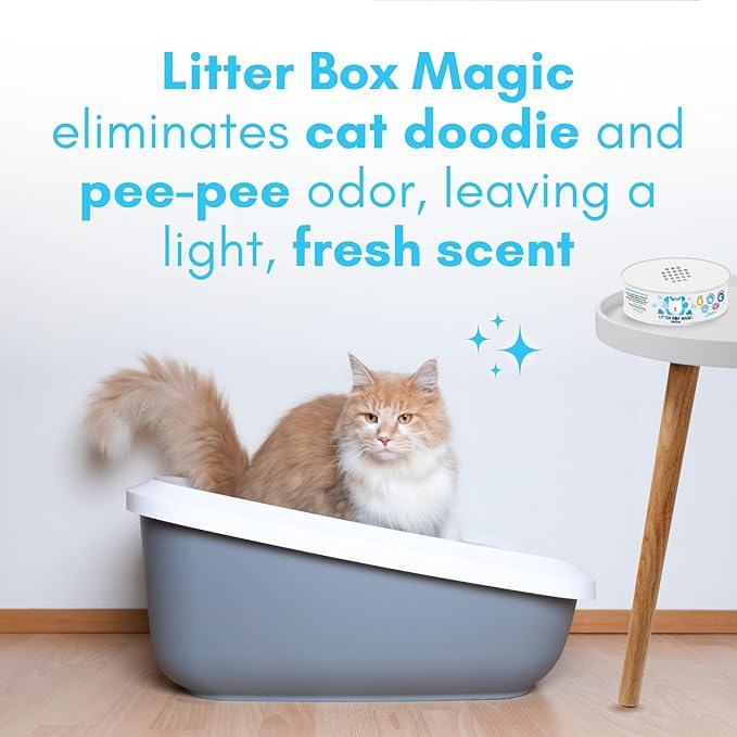 Litter Box Magic Cat Deodorizer Jar (16 Oz, Pack of 3) Fresh Scent - Air Freshener for Pet Smells from Litter Box - Odor Removing Litterbox Gel In A Jar - Odor Eliminator to Freshen Air