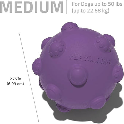 Playology Puppy Teething Ball Dog Toy for Young & Active Dogs | Engaging All-Natural Bacon Scented Chew Toy for Puppies