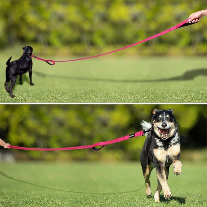Plutus Pet Double Handle Dog Leash 6ft Long, Padded 2 Handle, Heavy Duty, Reflective Training Leash for Medium Large Dogs, Dual Handle Lead (Pink)