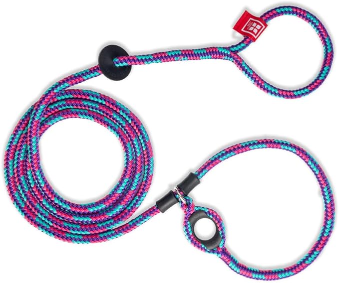 Harness Lead No Pull Dog Harness and Leash Set, Anti Pull Dog Harness for All Breeds and Sizes, One-Piece Cushioned Rope Design Safely Prevents Escaping and Pulling (Small/Medium, Reef)