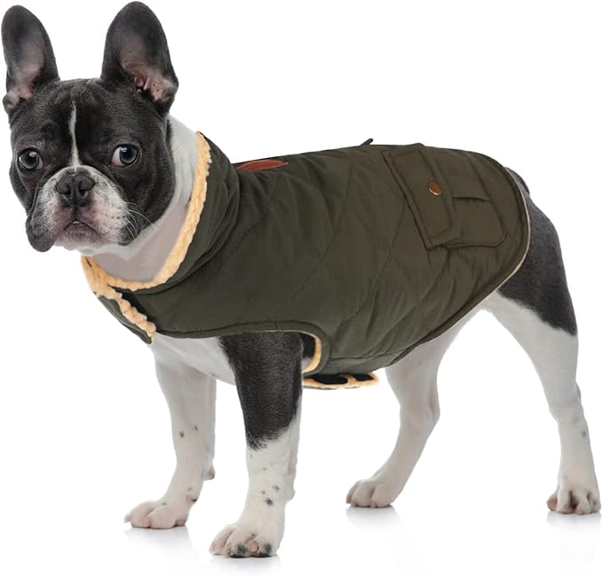 Queenmore Warm Dog Coat, Cold Weather Puffer Dog Jacket with Ultra Thick Plush Lining, Storage Pockets (Green, Small)