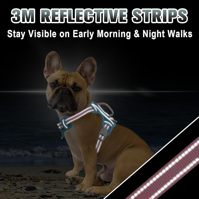 BARKBAY No Pull Dog Harness Large Reflective Dog Harness with Front Clip and Easy Control Handle for Walking Training Running with ID tag Pocket(Baby Blue & Baby Pink,S)