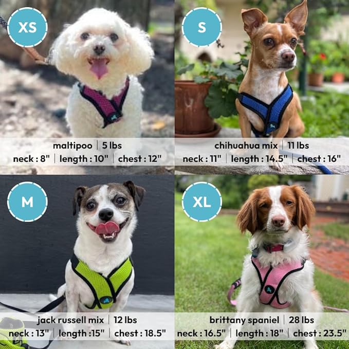 Gooby Comfort X Step in Lite Dog Harness - Choke Free, Escape Free with Light Breathable Mesh - Step in Dog Harness for Small Dogs Only - Quick Release Buckle, Metal D-Rings - Red, X-Large