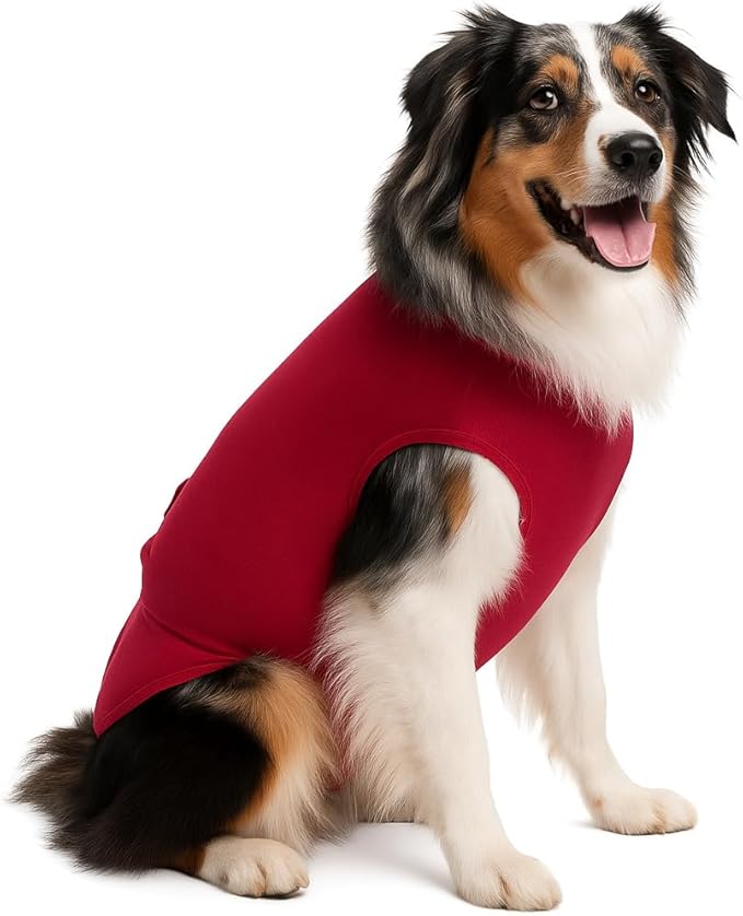 SurgiSnuggly Veterinary Invented Dog Surgical Recovery Suit for Female Spay or Male Dogs, Neuters Onesie,Cone Alternative, Original Onesie Bodysuit for After Surgery Giant Dogs 2XL Red EC