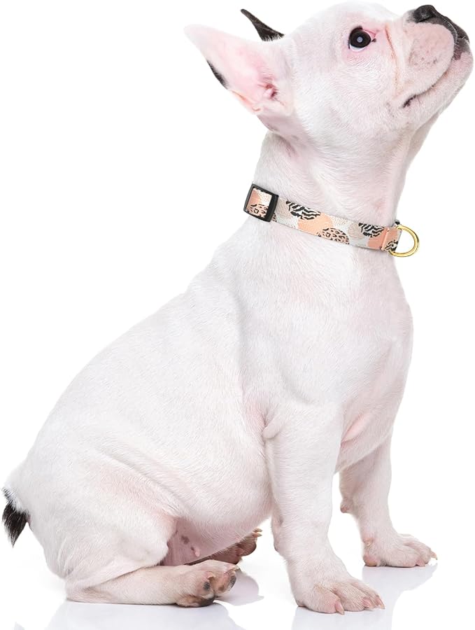 Rnivvi Dog Collar for Small Dogs, Cute Heavy Duty Adjustable Puppy Collar with Quick Release Buckle for Boy Girl & Female,Pet Accessories for Walking Running, S Length 3/4" Width, Modern Abstract Art