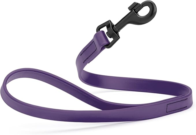 Dogline Biothane Waterproof Dog Leash Strong Coated Nylon Webbing with Black Hardware Odor-Proof Easy to Clean High Performance for Small or Large Dogs Made in USA 2 ft Lead, Violet Purple