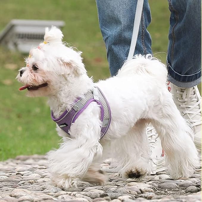 AIITLE Step in Dog Harness and Leash Set - No Pull Escape Proof Vest Harnesses with Soft Mesh and Reflective Bands, Adjustable Pet Outdoor Harnesses for Small and Medium Dogs Purple M