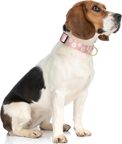 Rnivvi Dog Collar for Medium Dogs, Cute Heavy Duty Adjustable Puppy Collar with Quick Release Buckle for Girl & Female, Pet Accessories for Walking Running, M Length 1" Width, Pink Daisy Flower