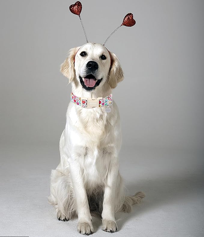 DOGWONG Valentine's Dog Collar, Adjustable, Durable, Heart Candy, Small, Cotton, Unique Valentine's Day Design, Soft and Breathable, Breakaway Closure