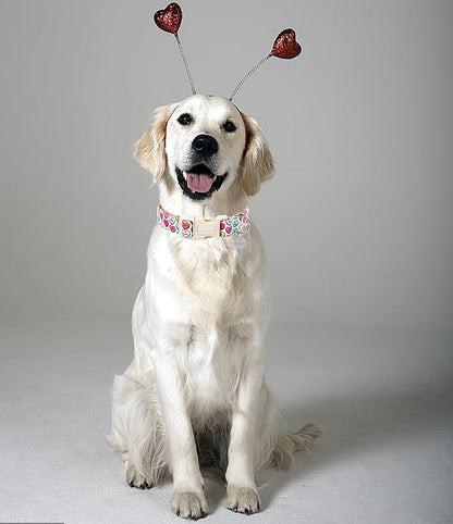 DOGWONG Valentine's Dog Collar, Adjustable, Durable, Heart Candy, Small, Cotton, Unique Valentine's Day Design, Soft and Breathable, Breakaway Closure
