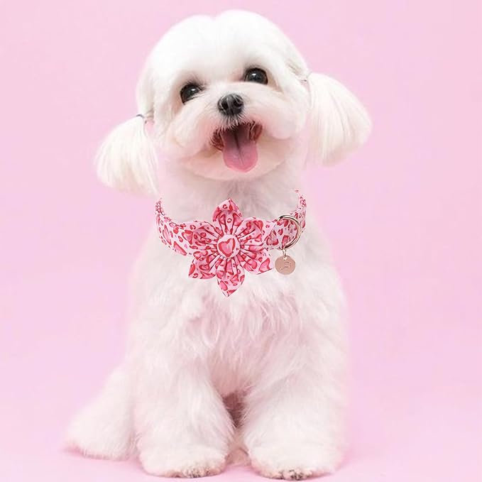 UP URARA PUP Valentine Dog Collar with Flower, Heart Flower Collar for Puppy Girl Boy Dog or Cat, Comfortable Dog Collar Flower with Durable Metal Buckle, Cute Pet Collar,XL, Neck 16-26in