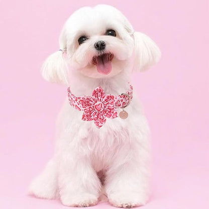 UP URARA PUP Valentine Dog Collar with Flower, Heart Flower Collar for Puppy Girl Boy Dog or Cat, Comfortable Dog Collar Flower with Durable Metal Buckle, Cute Pet Collar,XL, Neck 16-26in