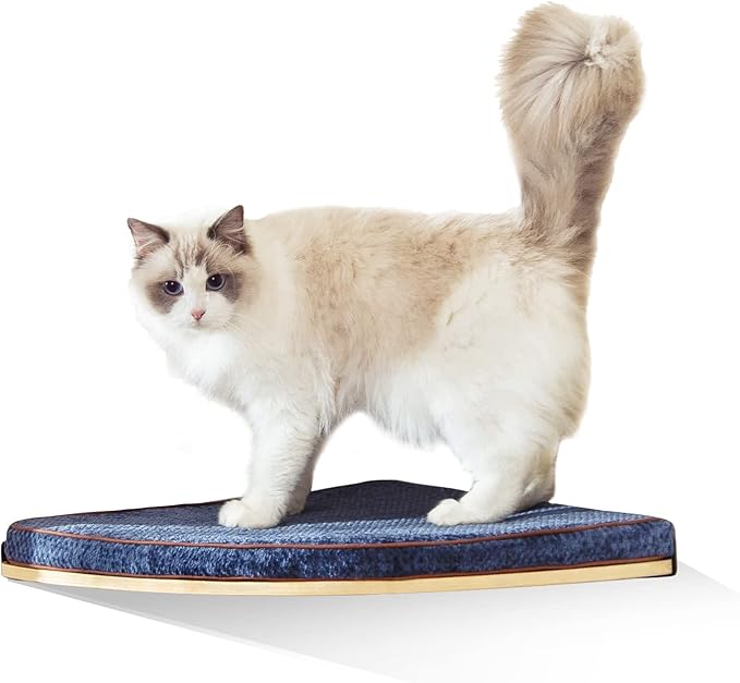 LIORCE Wall Mounted Corner Cat Bed - Cat Shelf with Comfortable Cushion - Minimalistic Cats Furniture for Indoor Cats - Climbing Perch for Wall,Cream