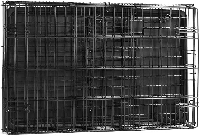 Amazon Basics - Durable, Foldable Metal Wire Dog Crate with Tray, Single Door, 30 x 19 x 21 in, Black