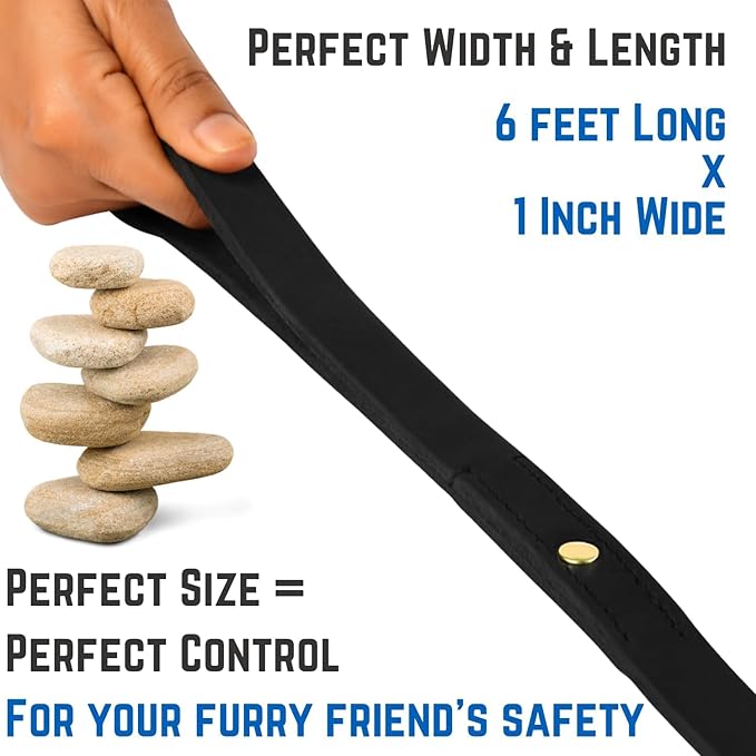 Leather Short Dog Leash 15 Inch - Short Dog Traffic Lead for Large Dogs Training and Walking - Braided Leather Tab for Large Dogs - Full Grain Heavy Duty. (Black, 2 FT)